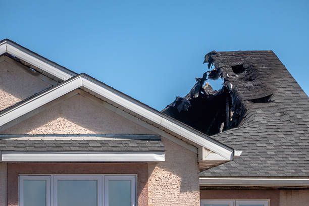 Top rated local Odor Removal specialists in Monticello, KY